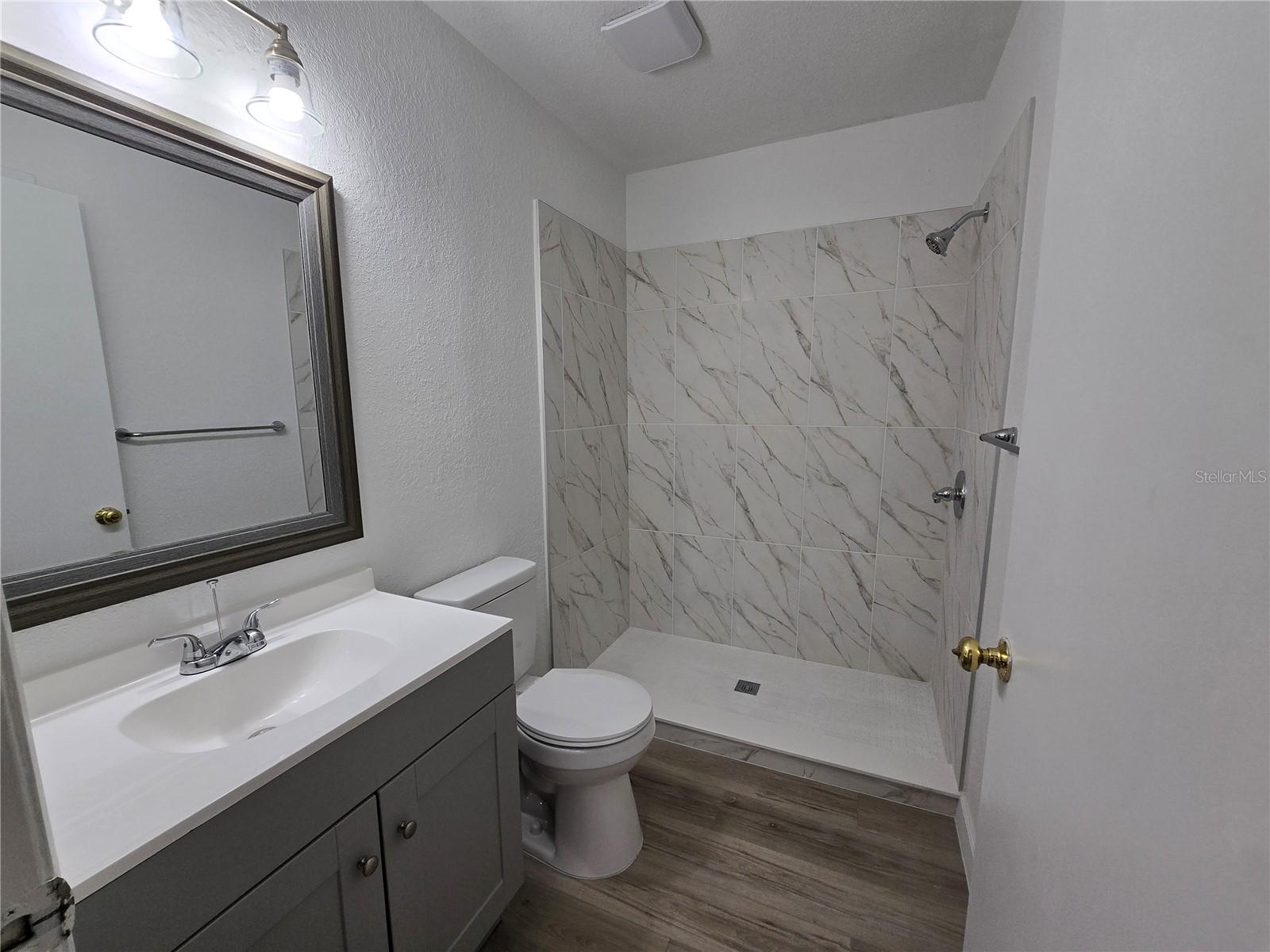 1652 LAKE AVE, LEHIGH ACRES, FL, 33972