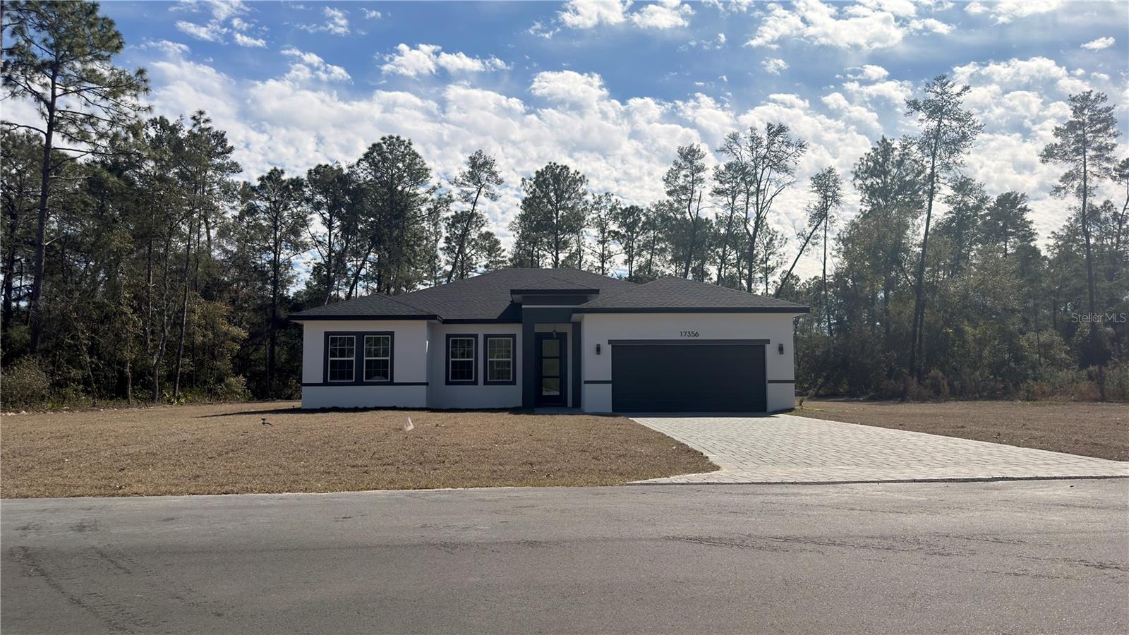 17356 SW 41ST CIR, OCALA, FL, 34473