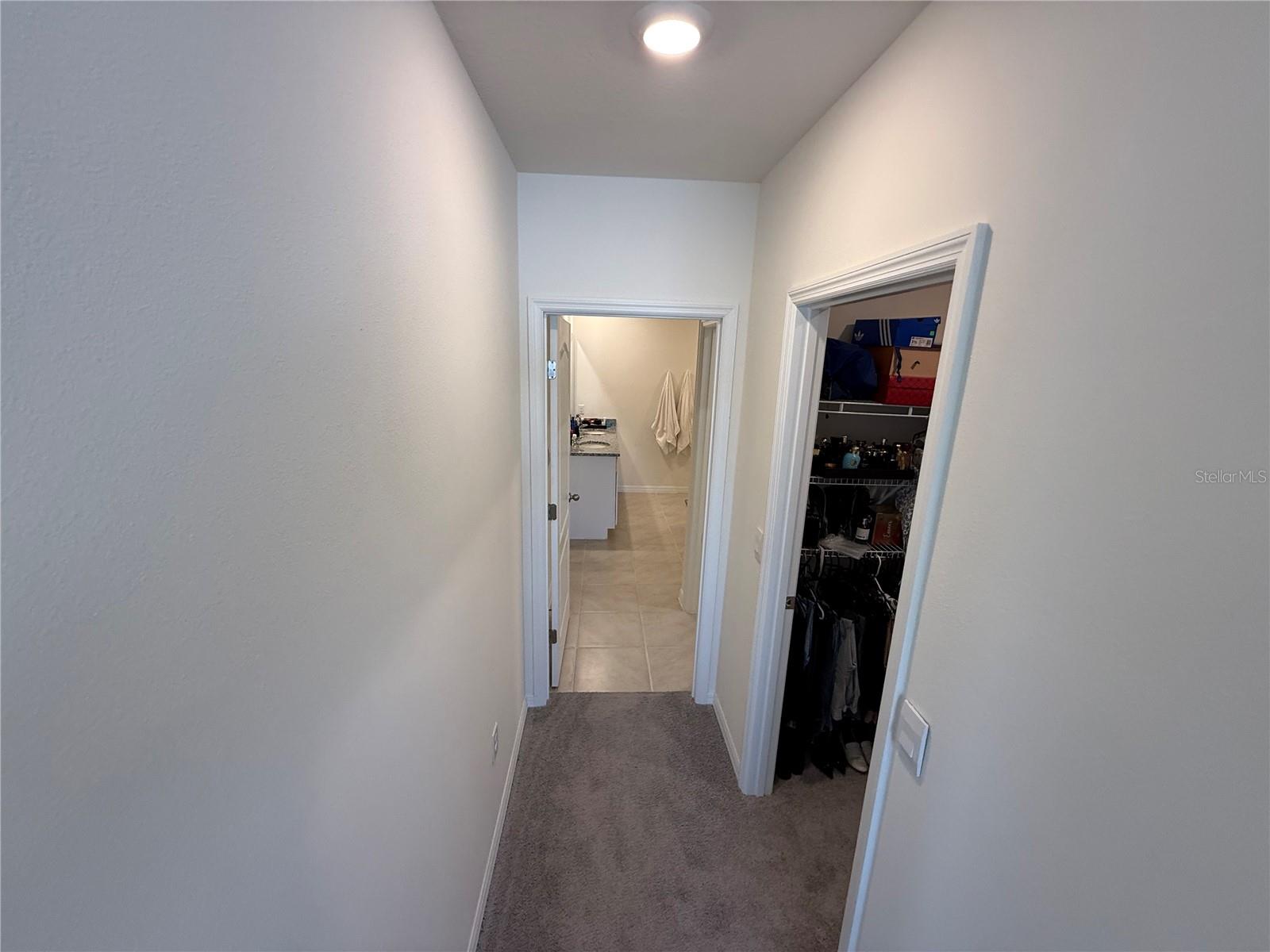 1431 PRINCESS TREE CT, HAINES CITY, FL, 33844