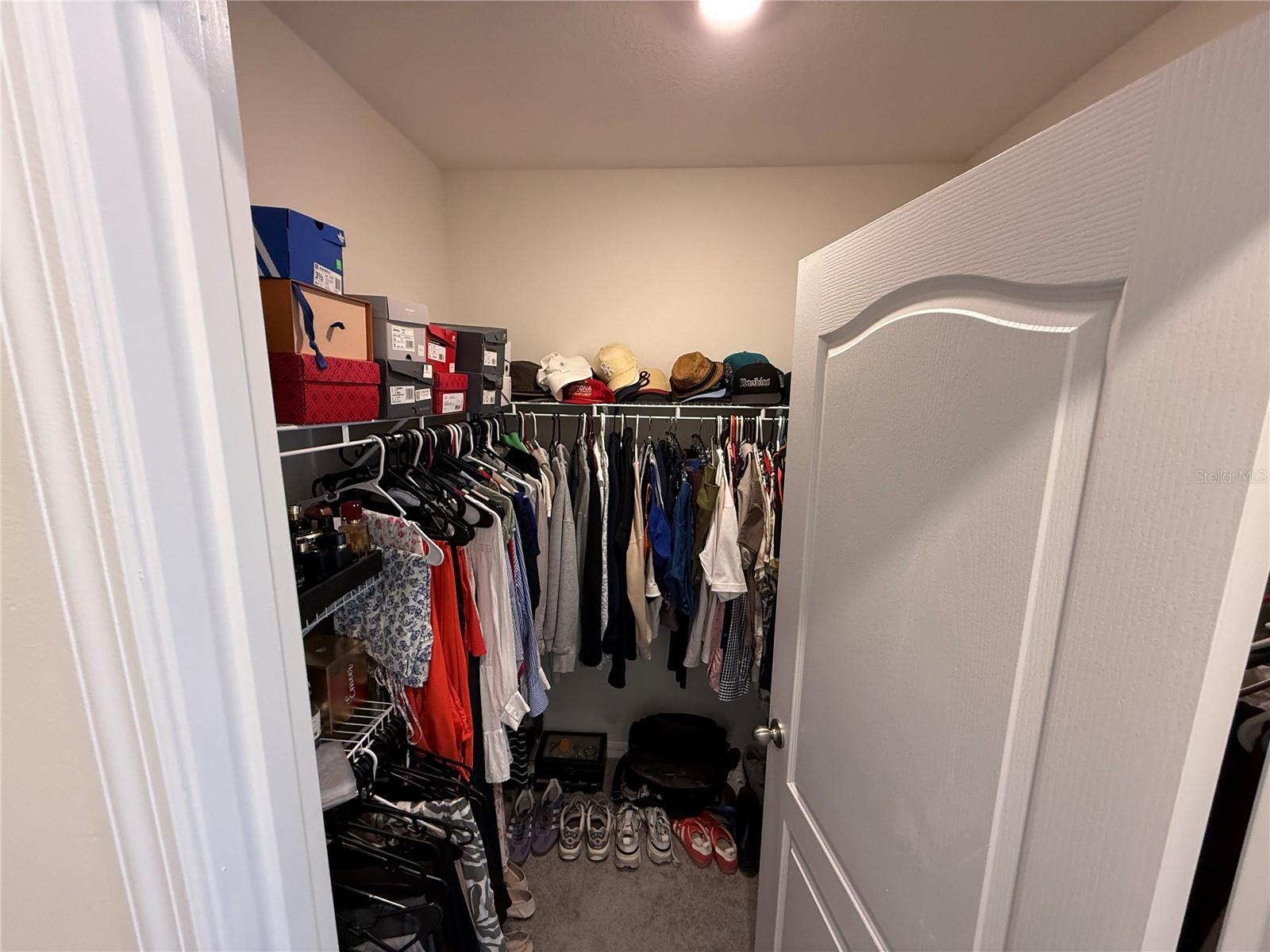 1431 PRINCESS TREE CT, HAINES CITY, FL, 33844