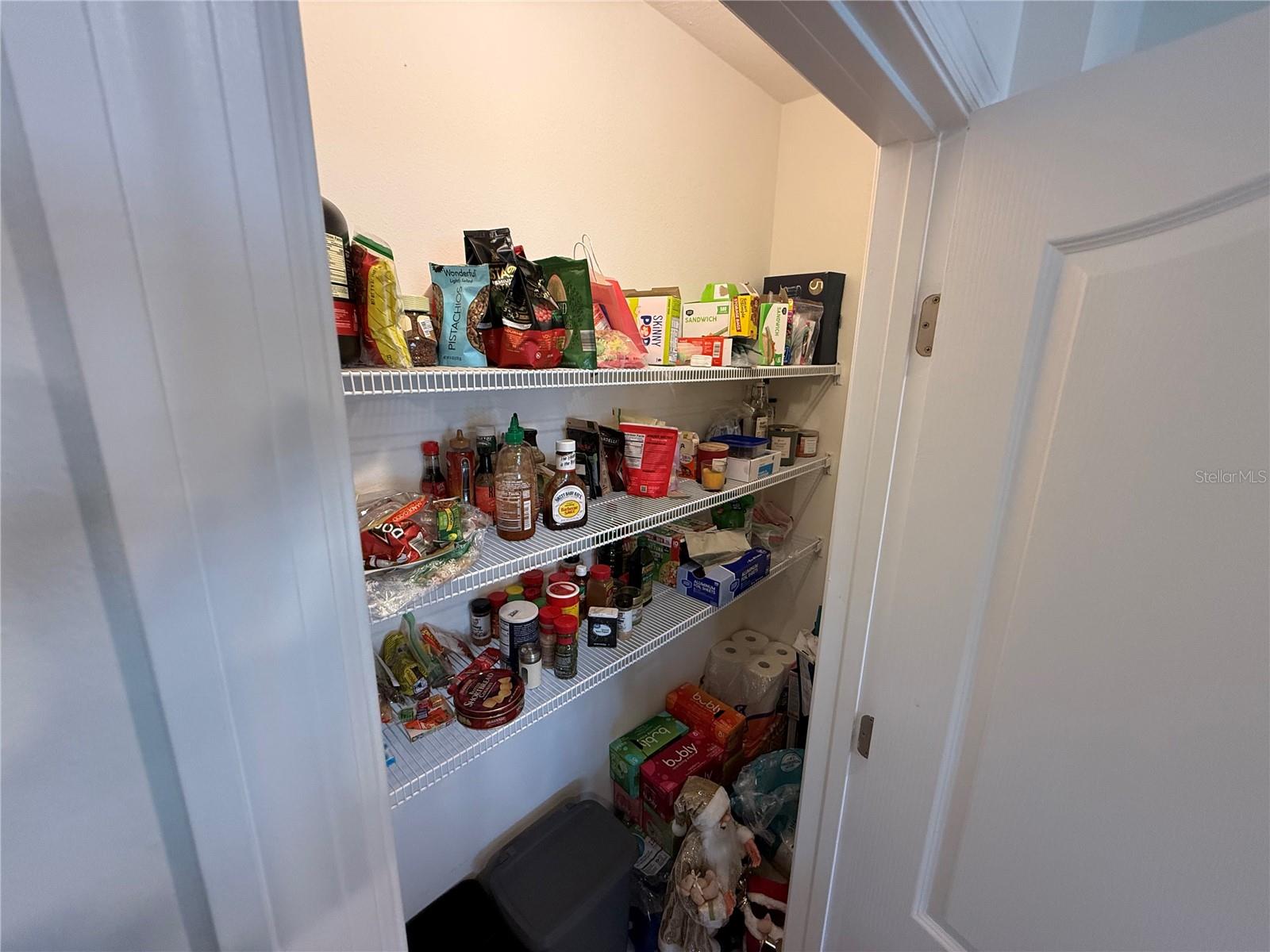 1431 PRINCESS TREE CT, HAINES CITY, FL, 33844