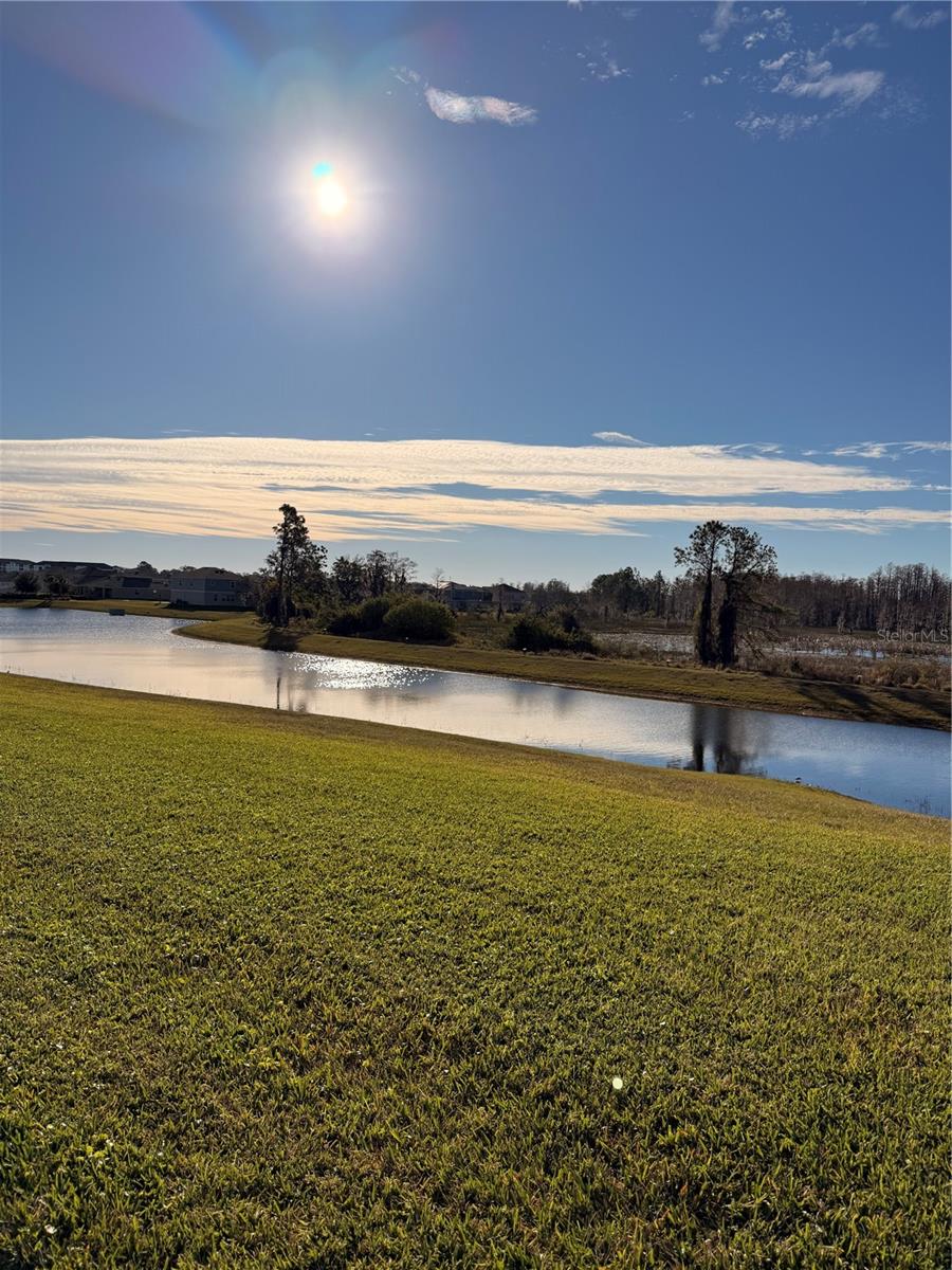 12012 HOLYSTONE ST, WINTER GARDEN, FL, 34787