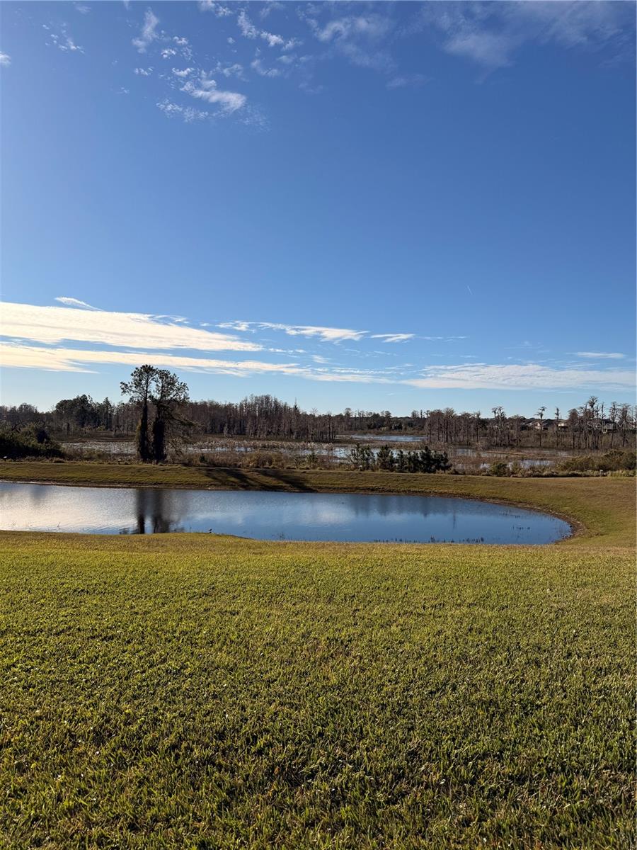 12012 HOLYSTONE ST, WINTER GARDEN, FL, 34787