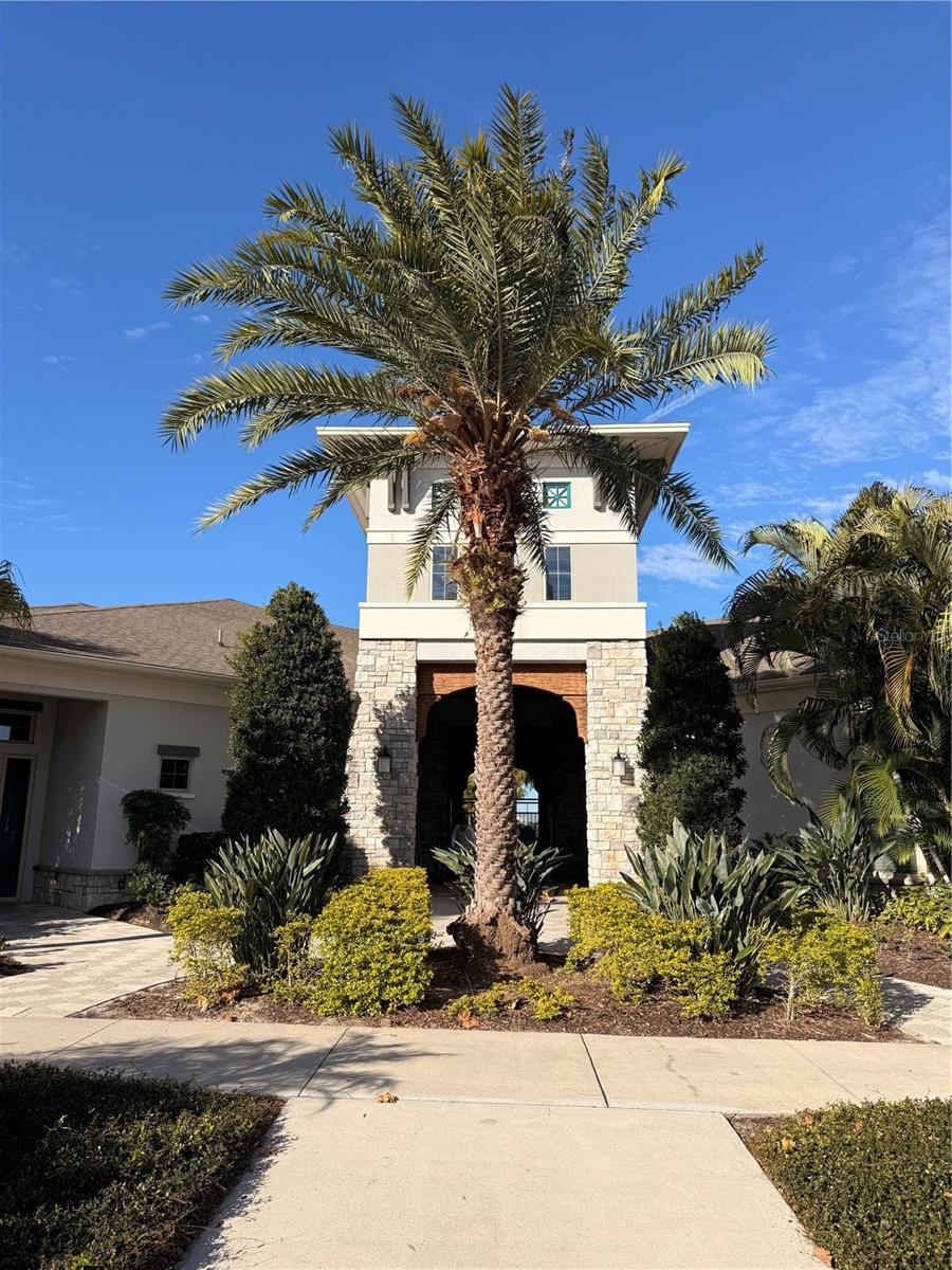 12012 HOLYSTONE ST, WINTER GARDEN, FL, 34787