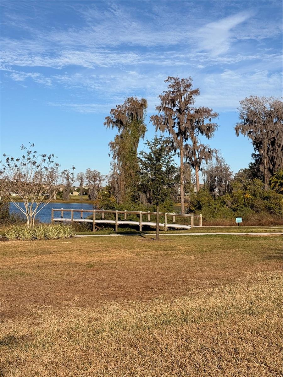 12012 HOLYSTONE ST, WINTER GARDEN, FL, 34787