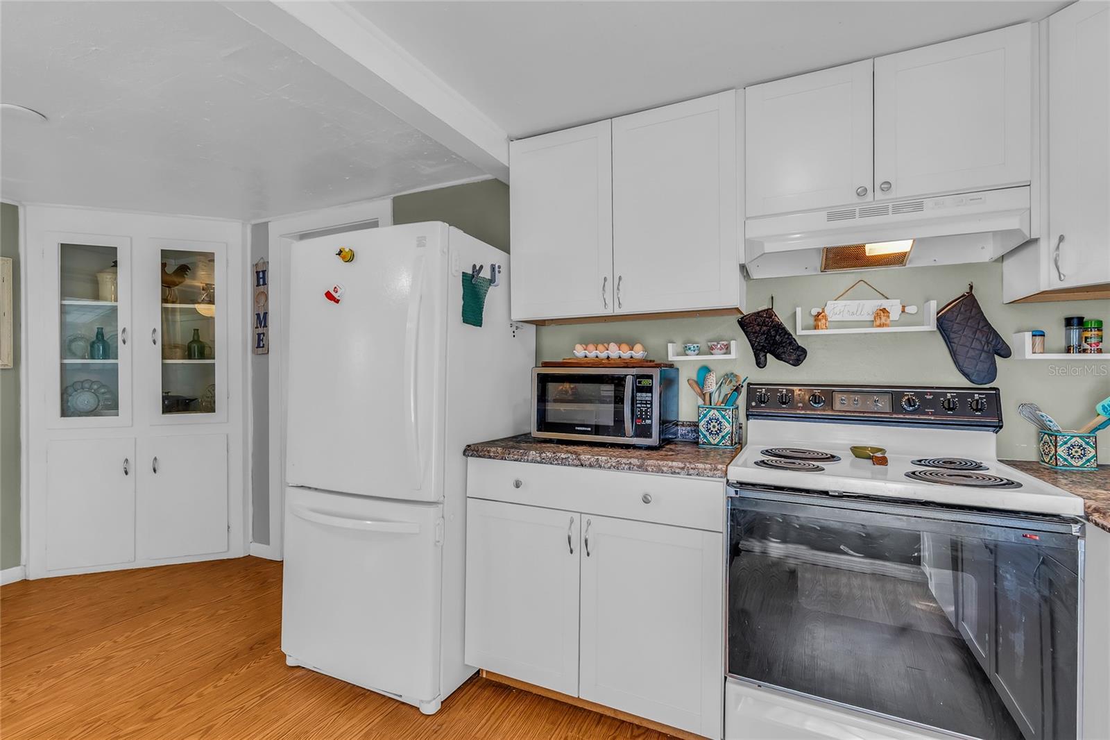 11408 HUGGINS ST, LEESBURG, FL, 34788