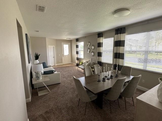 483 SETTING SUN DR, WINTER GARDEN, FL, 34787