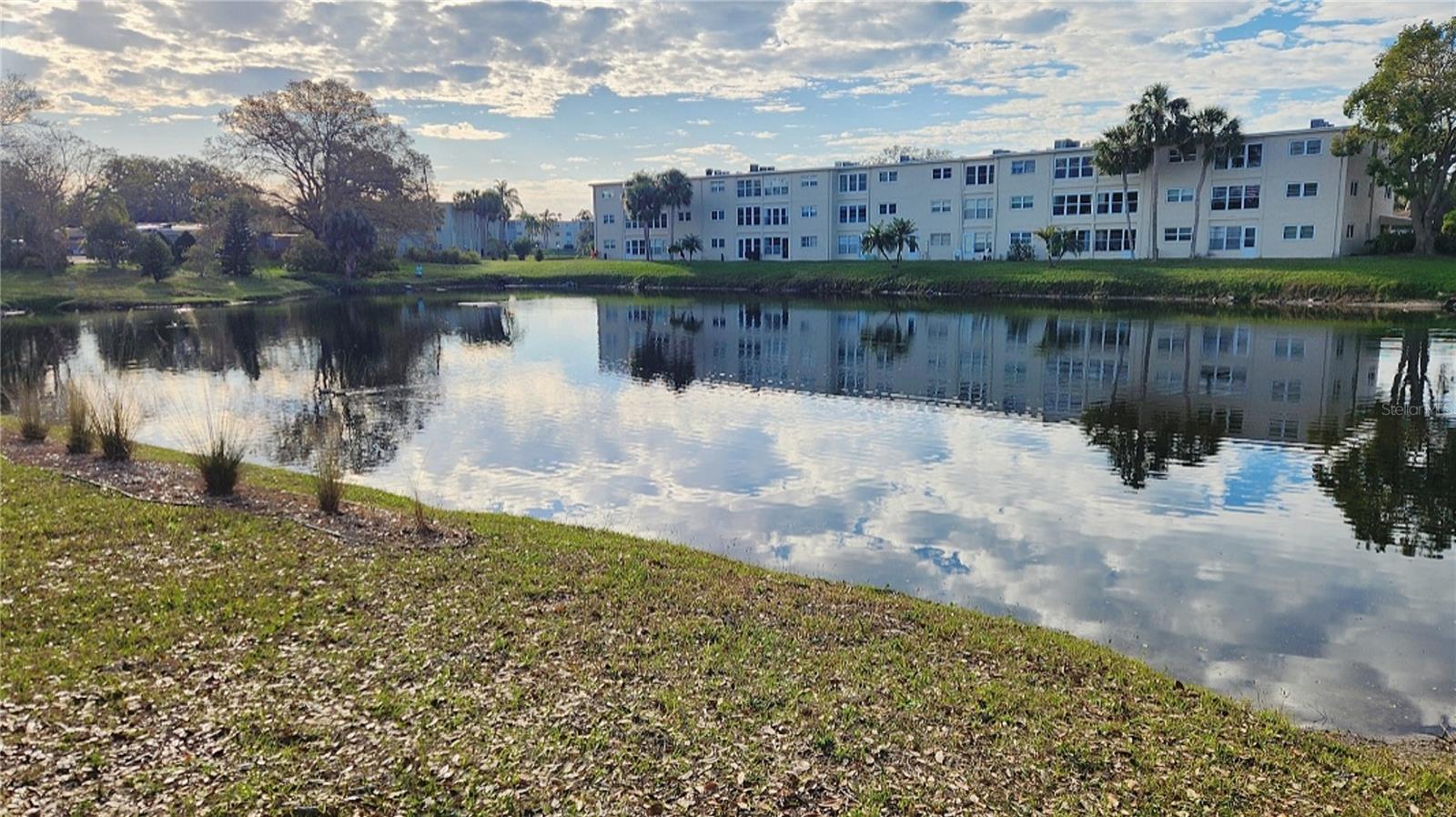 1016 DE SOTO DR, DUNEDIN, FL, 34698