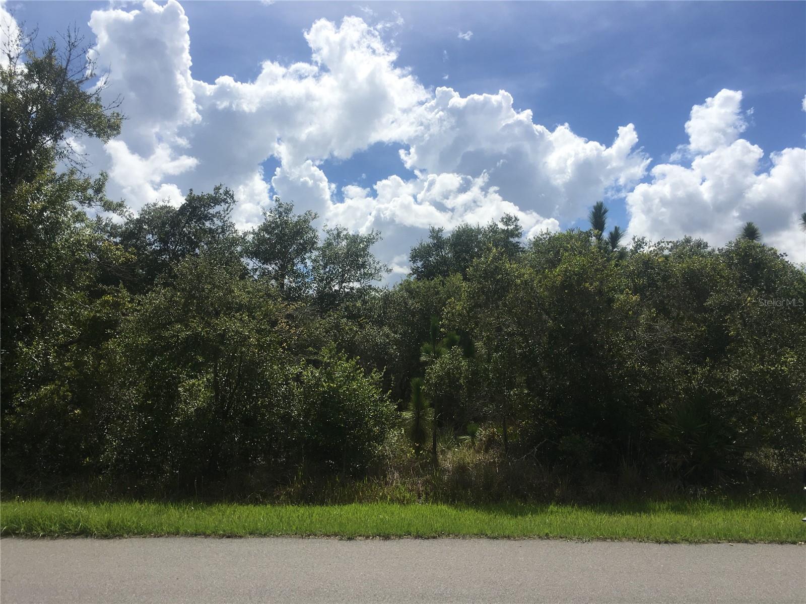 237 EVERGREEN ST, PUNTA GORDA, FL, 33982