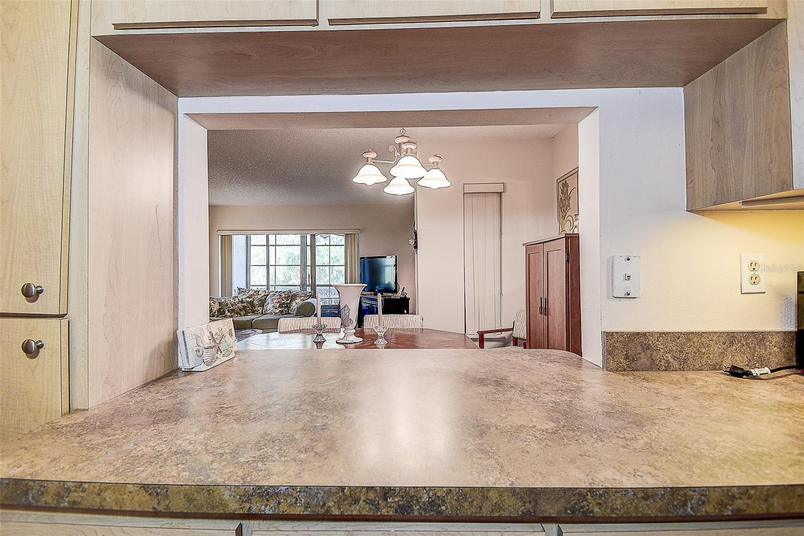 3125 LAKE PINE WAY #B1, TARPON SPRINGS, FL, 34688