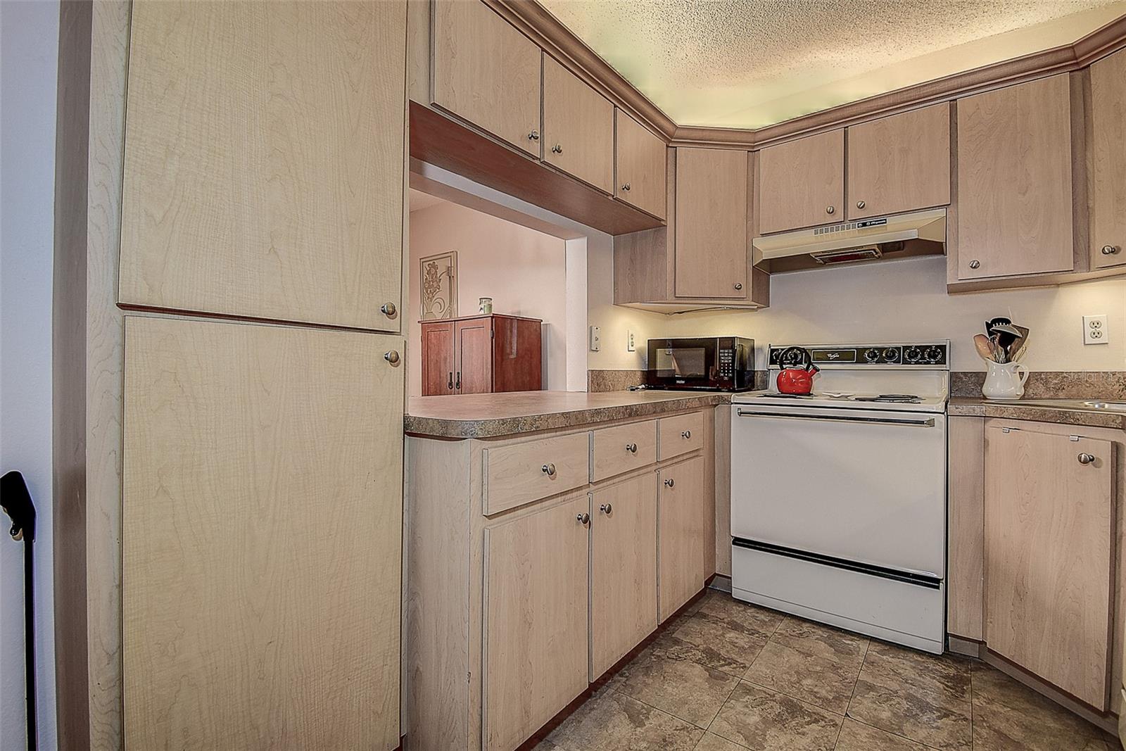 3125 LAKE PINE WAY #B1, TARPON SPRINGS, FL, 34688