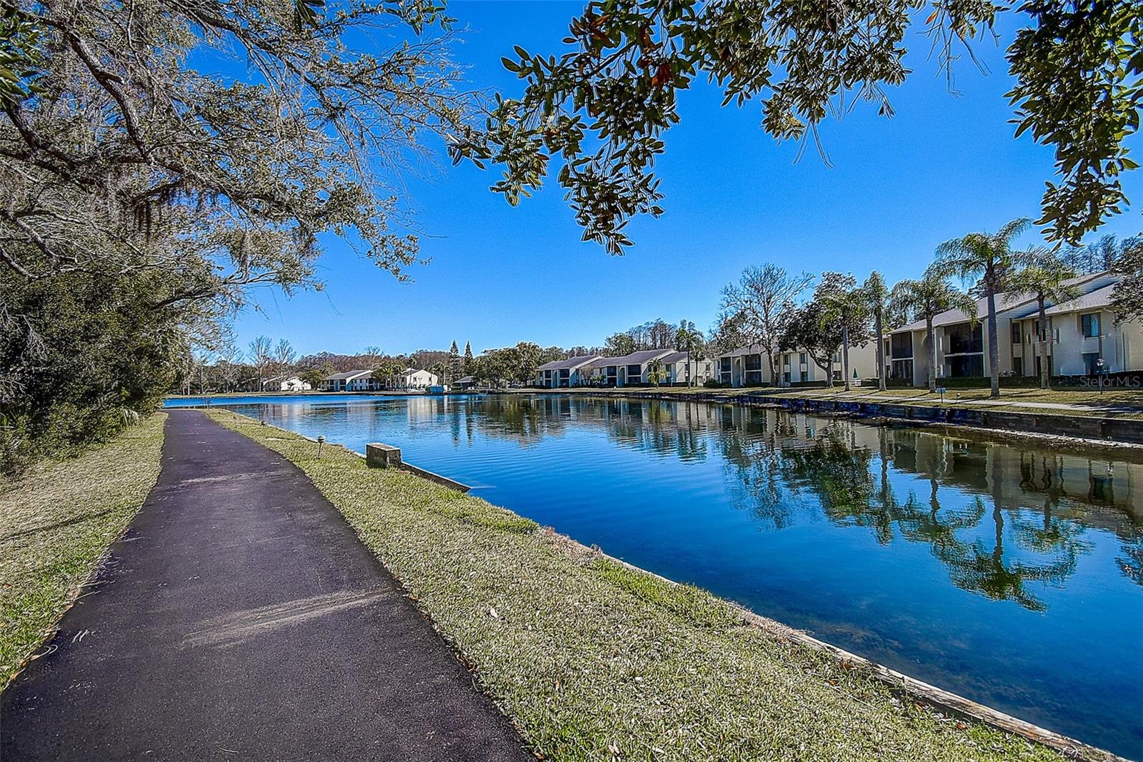 3125 LAKE PINE WAY #B1, TARPON SPRINGS, FL, 34688
