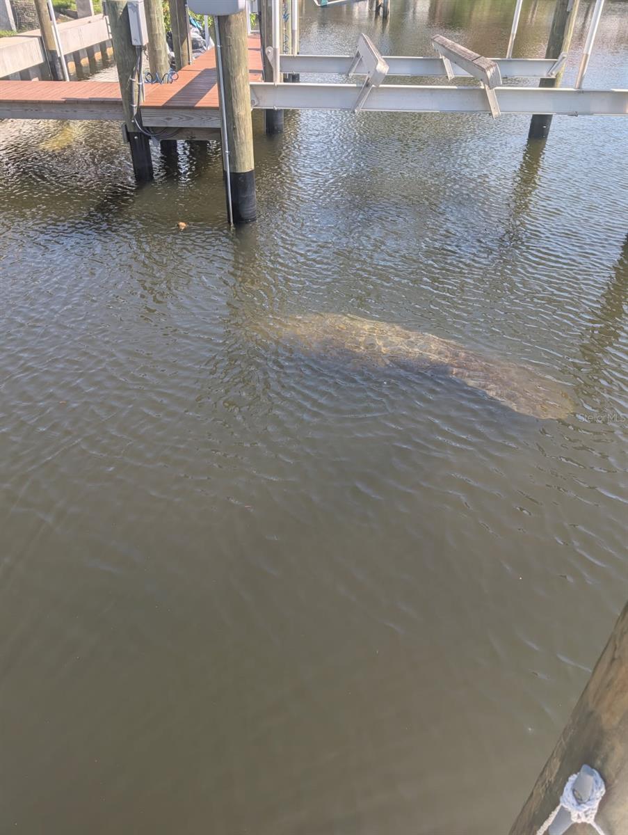 511 DONA DR, NOKOMIS, FL, 34275