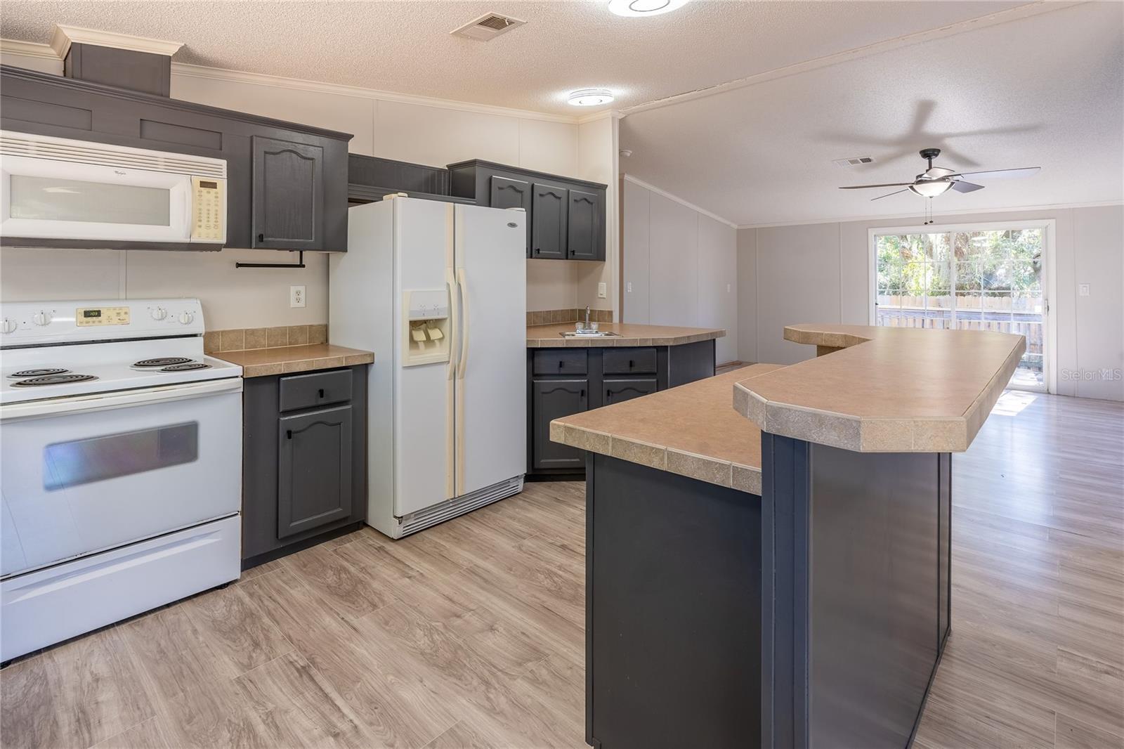 13811 COUNTY ROAD 109D, LADY LAKE, FL, 32159