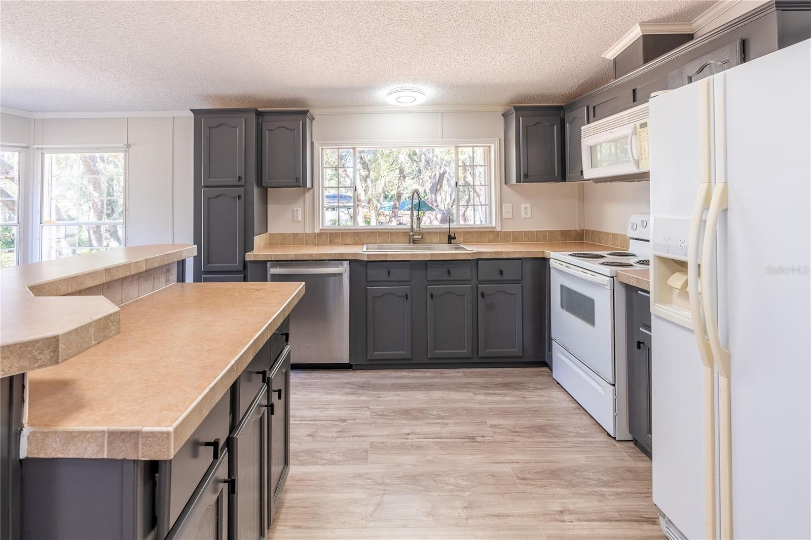 13811 COUNTY ROAD 109D, LADY LAKE, FL, 32159