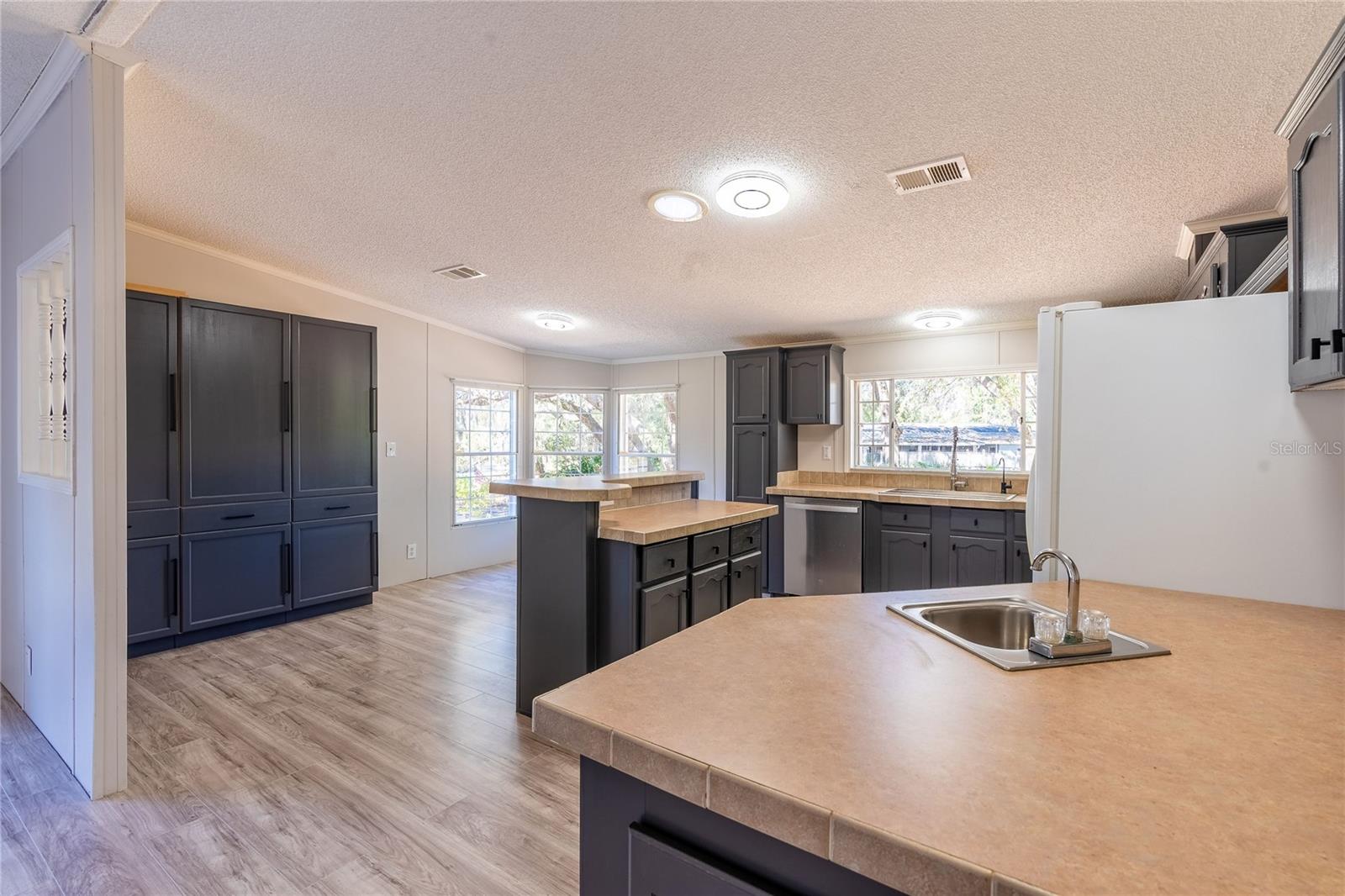 13811 COUNTY ROAD 109D, LADY LAKE, FL, 32159