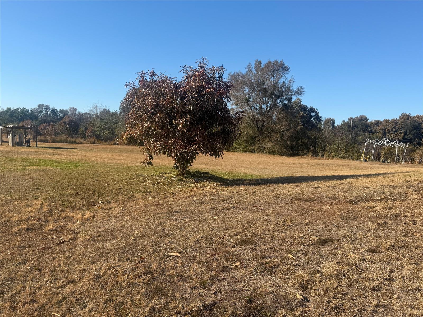 3444 PACKARD AVE, ST CLOUD, FL, 34772