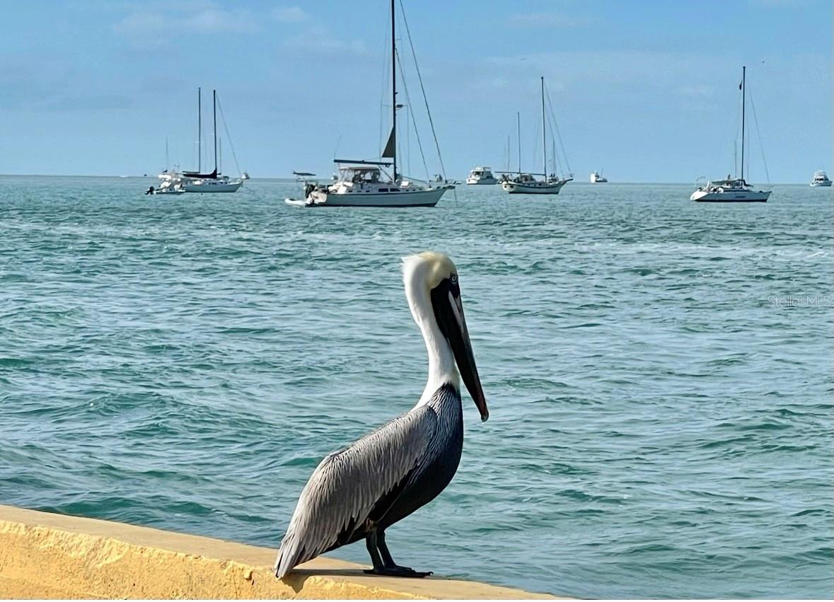 1119 SIMONTON ST #A1, A2, C1, KEY WEST, FL, 33040