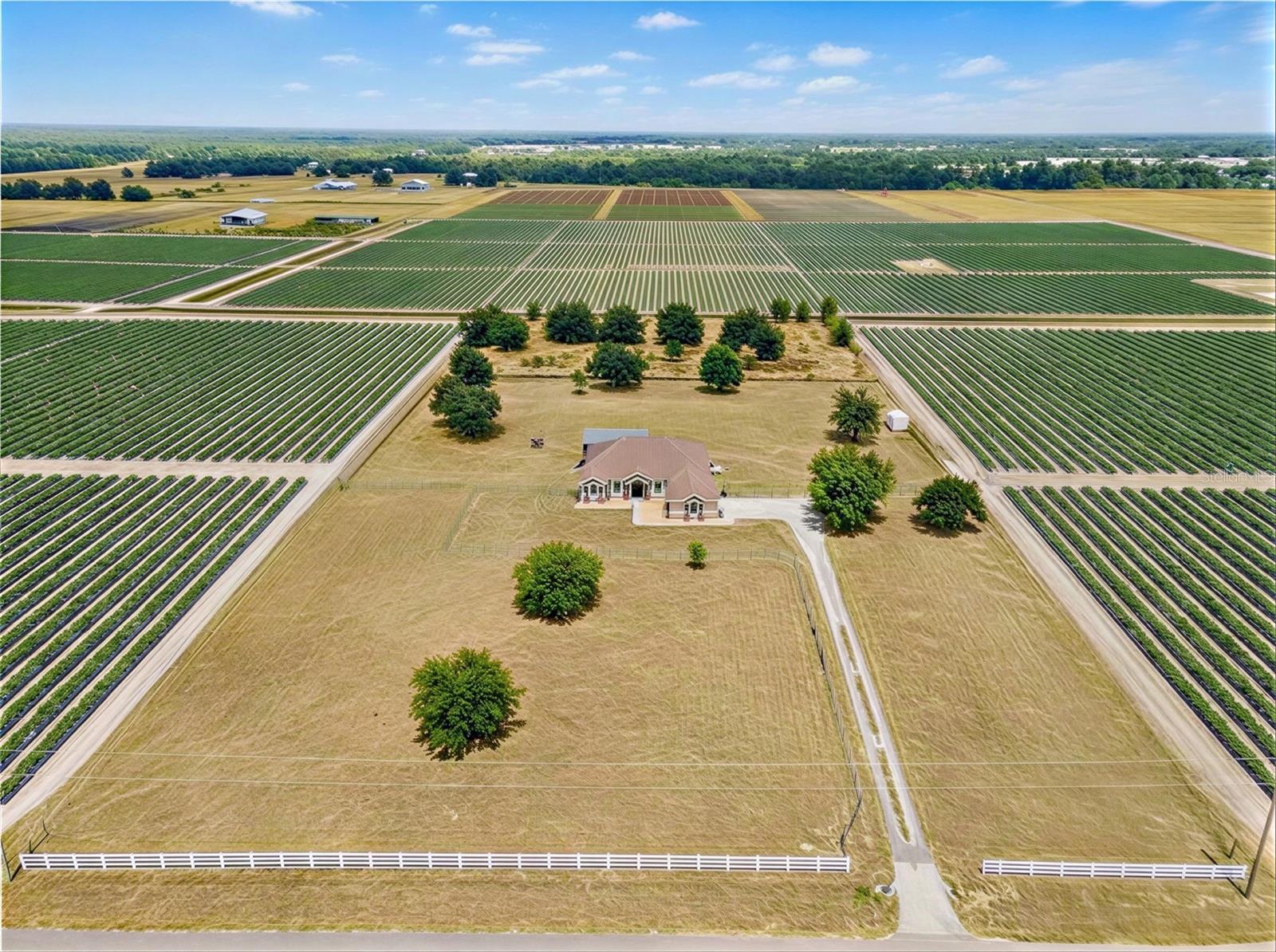 2350 VIRGIL HALL RD, LITHIA, FL, 33547