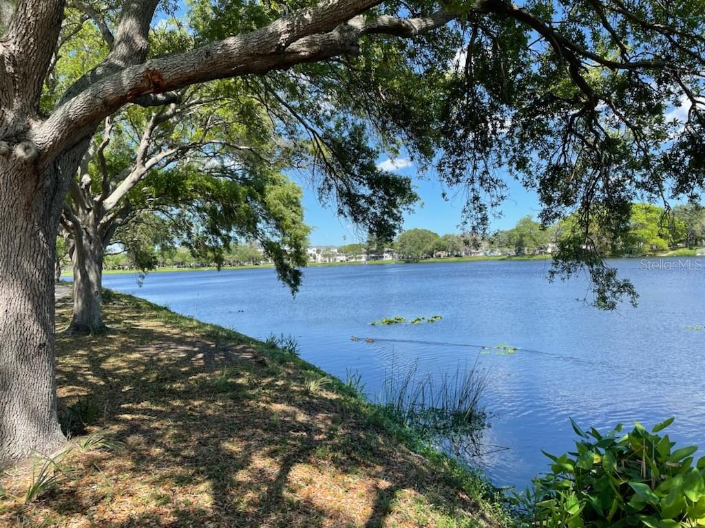 811 26TH AVE N, ST PETERSBURG, FL, 33704