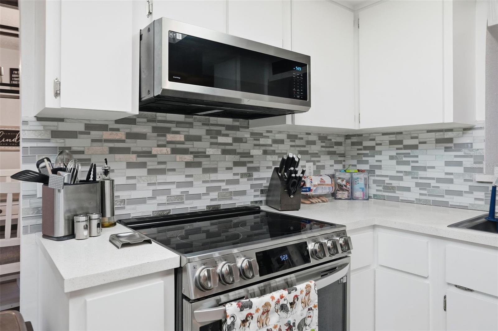 9206 BELVEDERE ST, SPRING HILL, FL, 34608