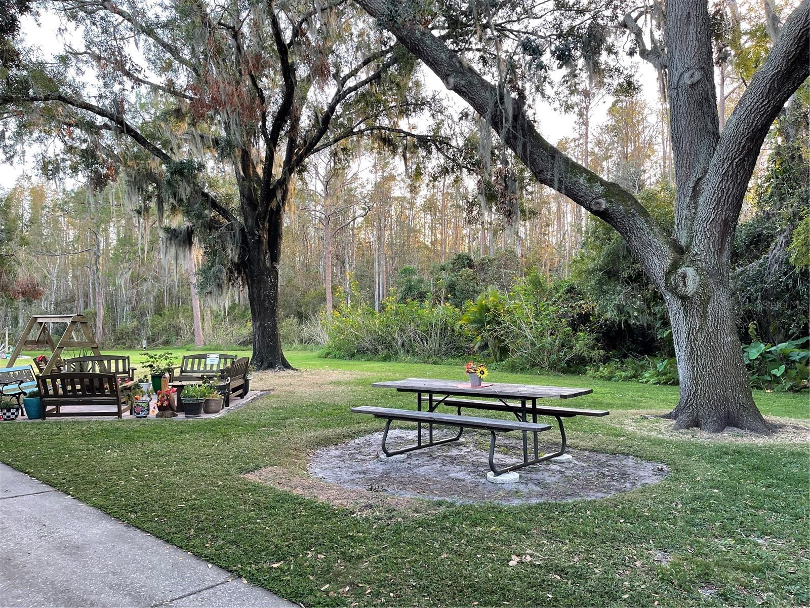 1761 CUPECOY CIR #1, LUTZ, FL, 33558