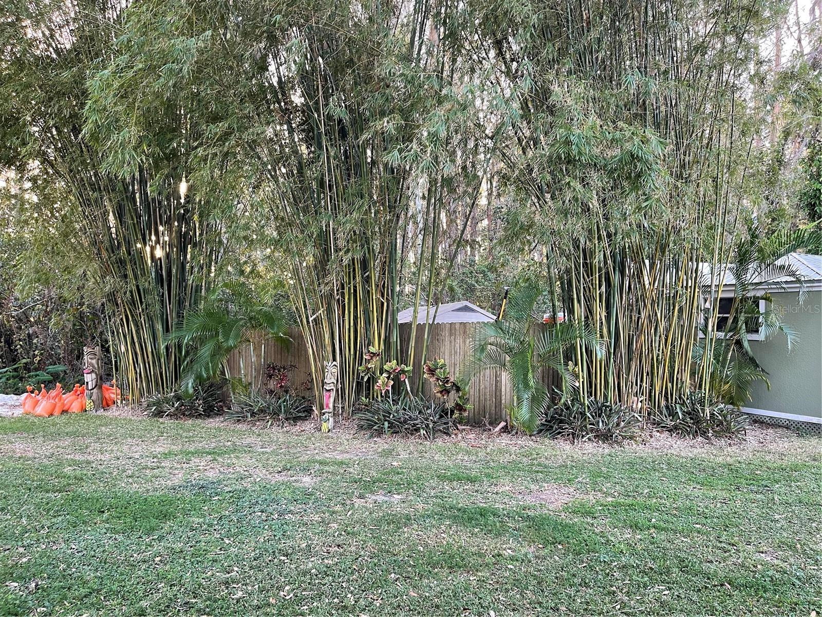 1761 CUPECOY CIR #1, LUTZ, FL, 33558