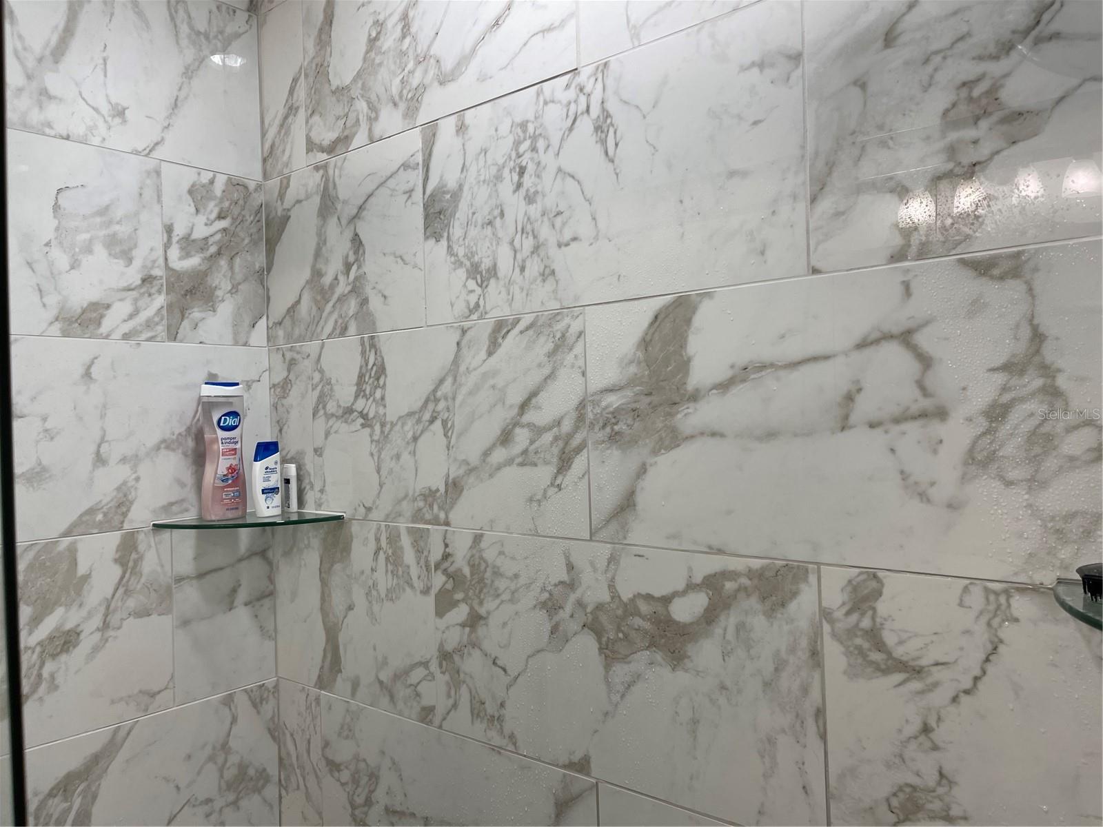 1761 CUPECOY CIR #1, LUTZ, FL, 33558