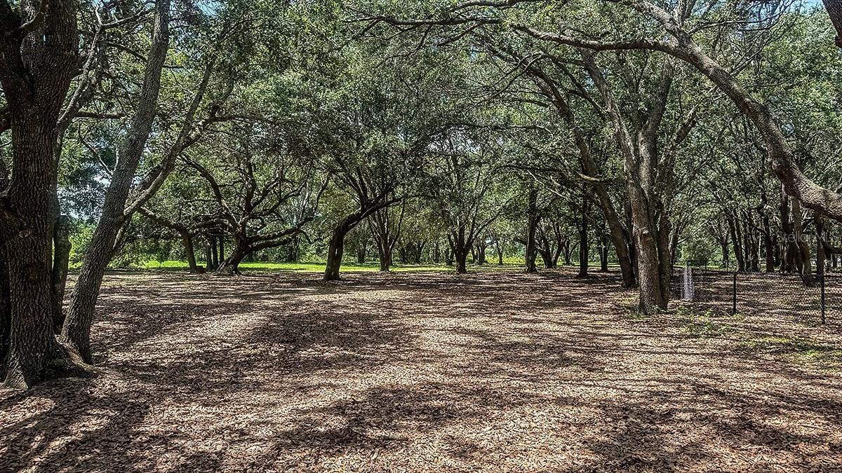 7408 SANDSTONE DR, GROVELAND, FL, 34736