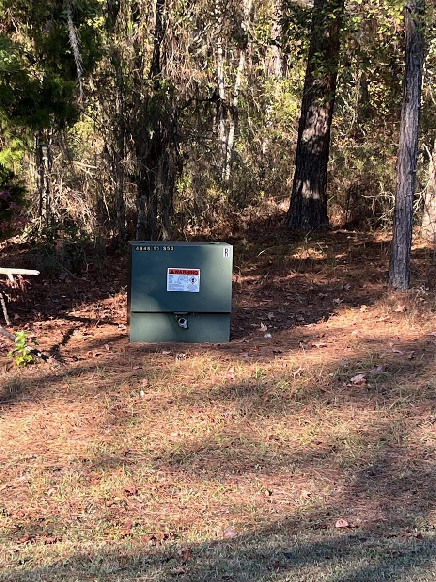 TBD NW 148 LN, WILLISTON, FL, 32696