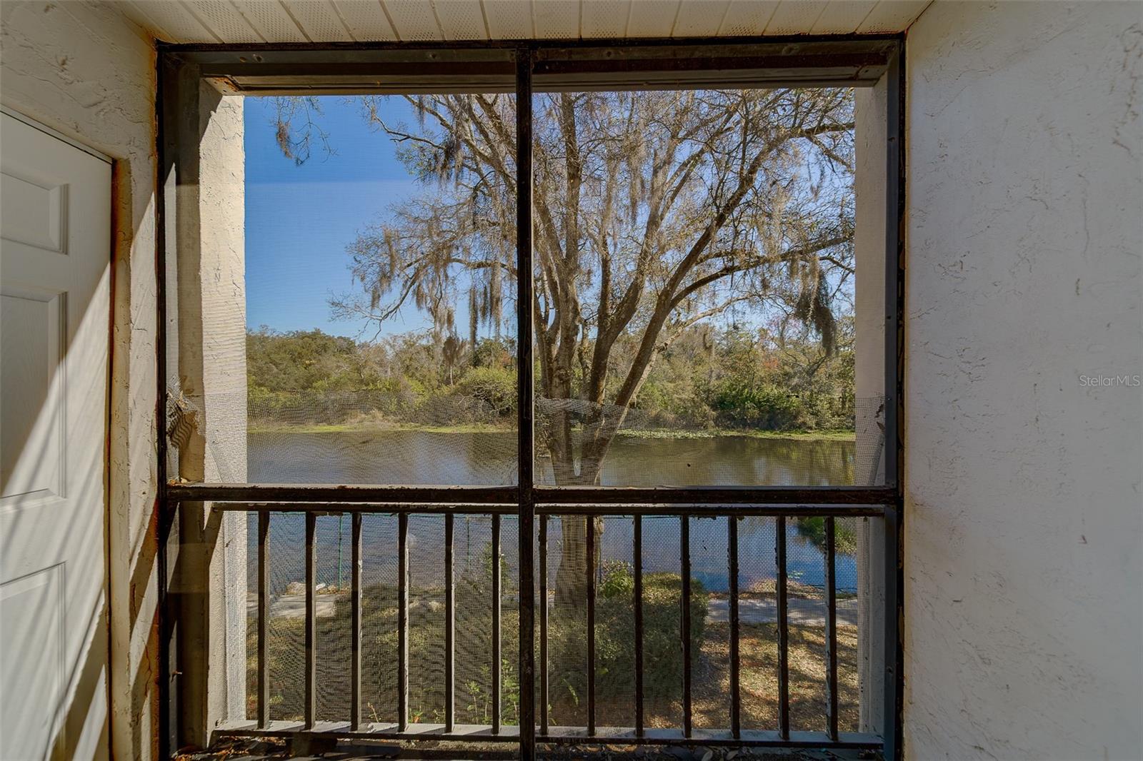 2625 STATE ROAD 590 #1123, CLEARWATER, FL, 33759