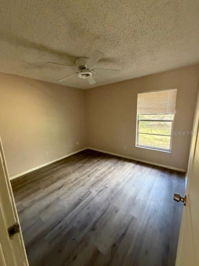 187 MARGIE ST, PALM HARBOR, FL, 34683