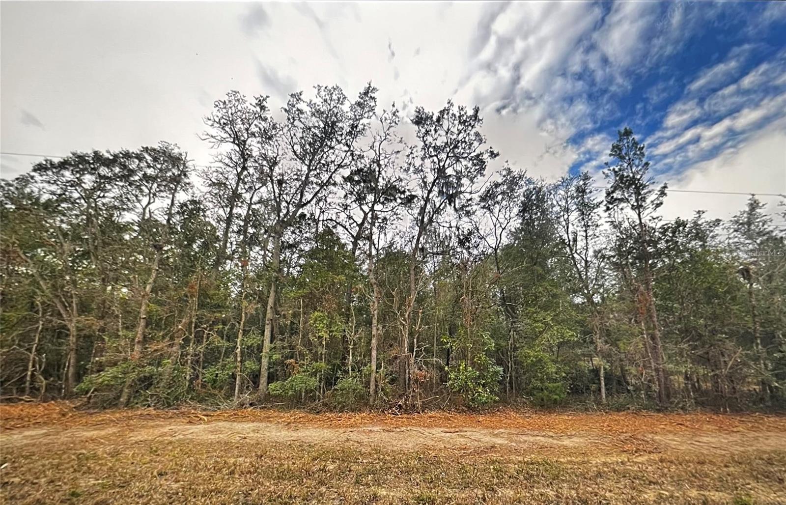 0 USINA AVE, INTERLACHEN, FL, 32148