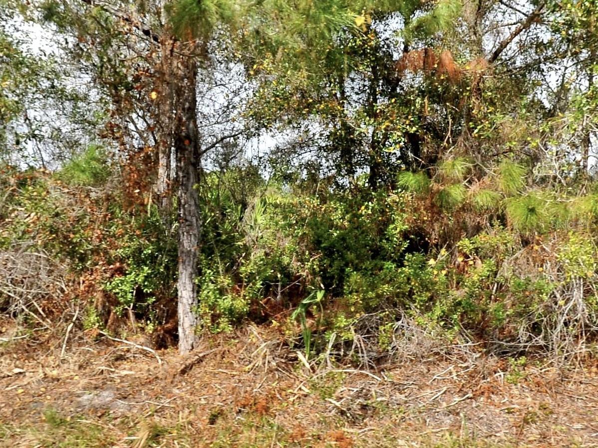 OHIO RD, NORTH PORT, FL, 34291