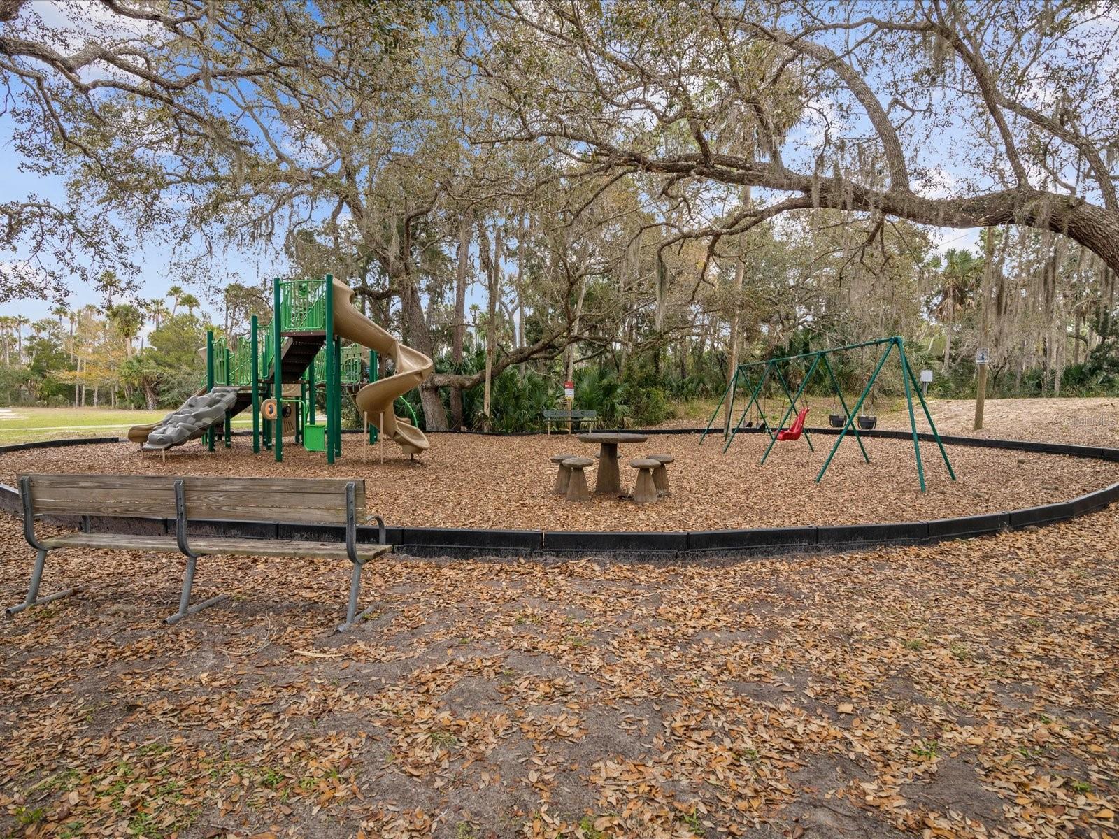 4290 CARLOS CT, HERNANDO BEACH, FL, 34607