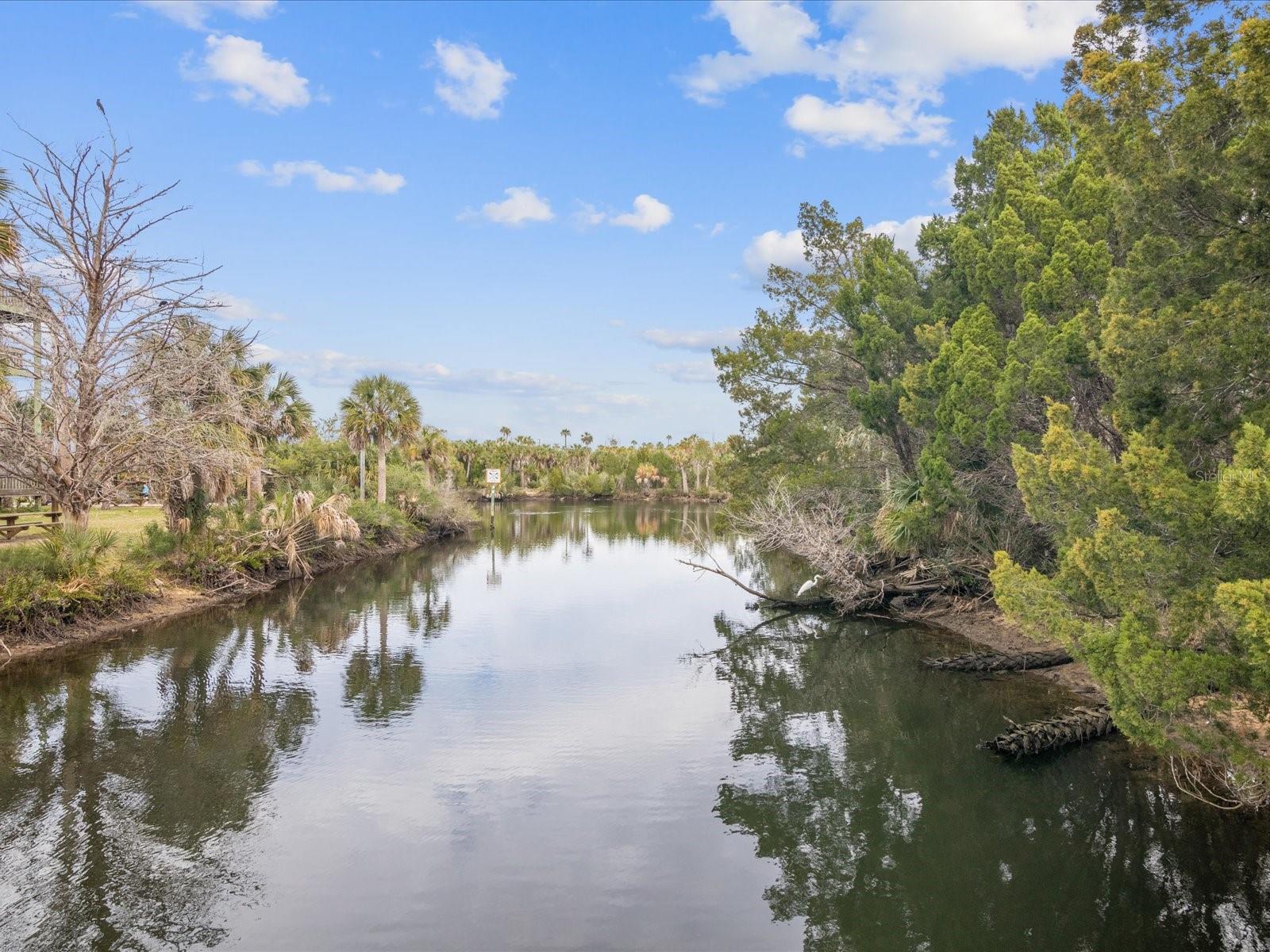 4290 CARLOS CT, HERNANDO BEACH, FL, 34607