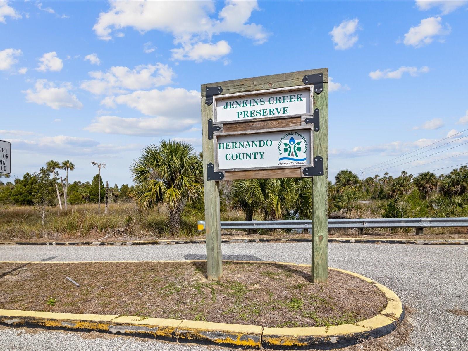 4290 CARLOS CT, HERNANDO BEACH, FL, 34607