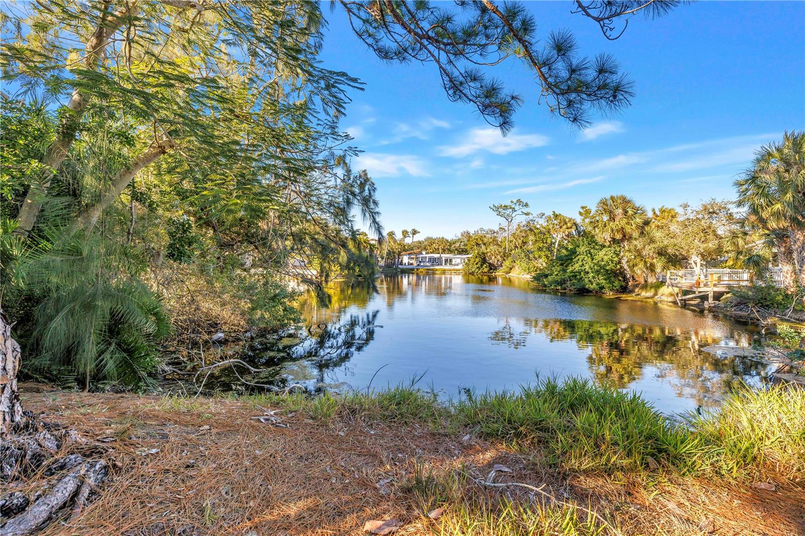 523 REID ST, SARASOTA, FL, 34242