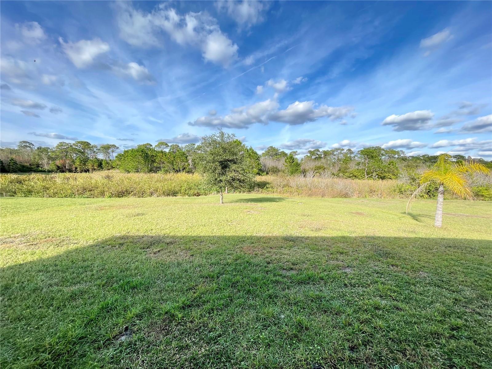 377 SIERA MIKE BLVD, LAKE ALFRED, FL, 33850