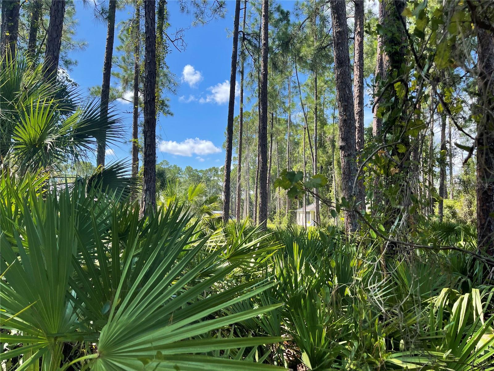 NOPPENBERG AVE #LOT 30, NORTH PORT, FL, 34288