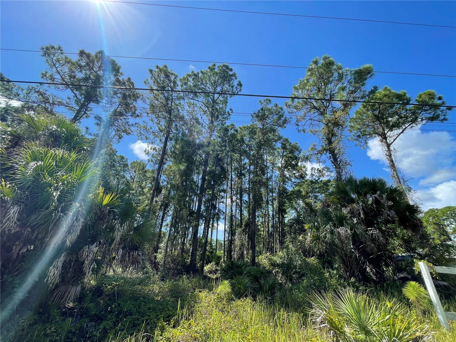 NOPPENBERG AVE #LOT 30, NORTH PORT, FL, 34288