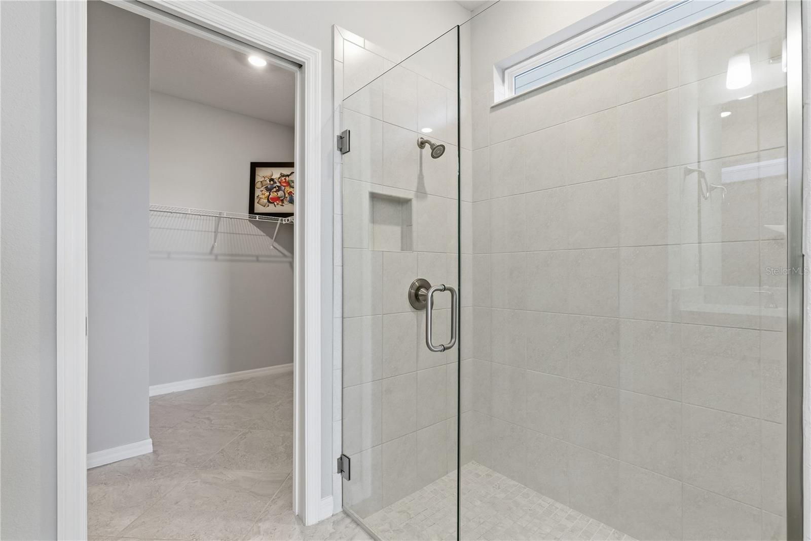 9539 IBIS GROVE BLVD, WESLEY CHAPEL, FL, 33545