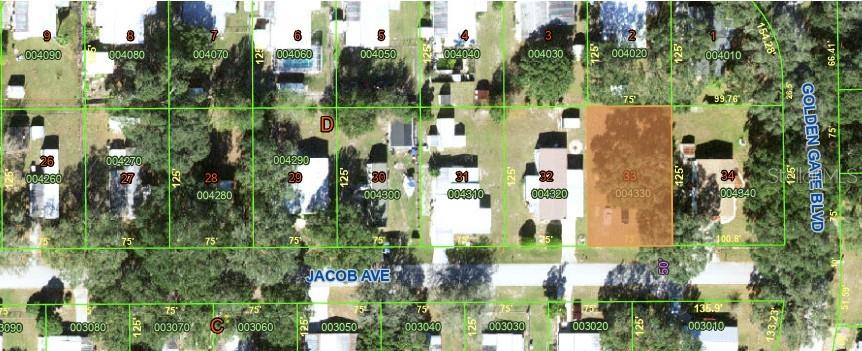 5534 JACOB AVE, POLK CITY, FL, 33868