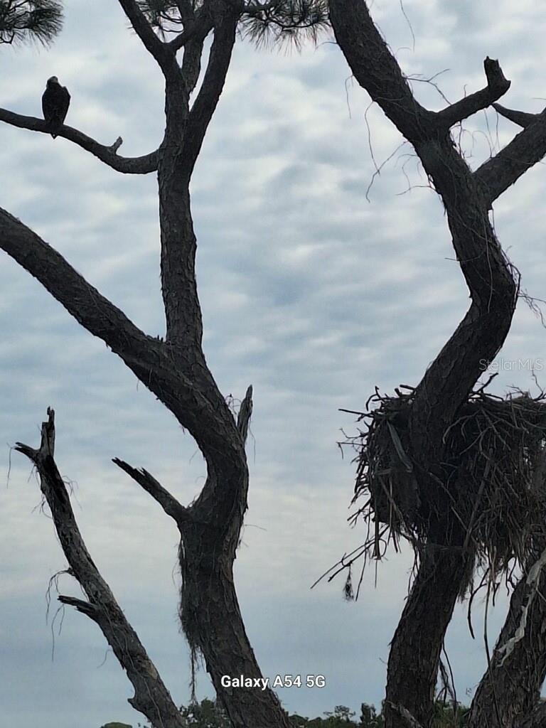 7930 34TH AVENUE W #202, BRADENTON, FL, 34209