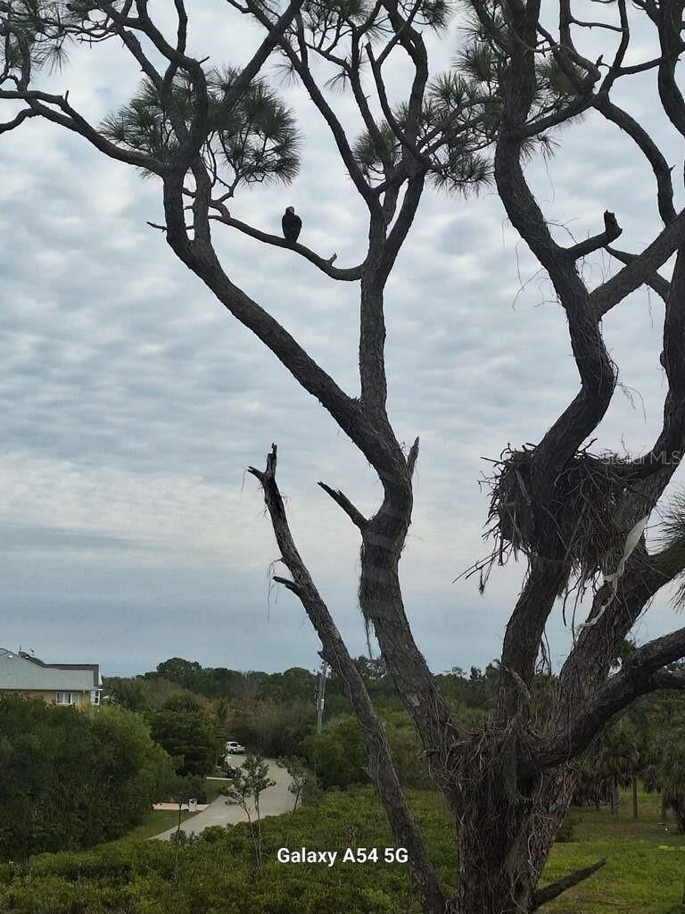 7930 34TH AVENUE W #202, BRADENTON, FL, 34209