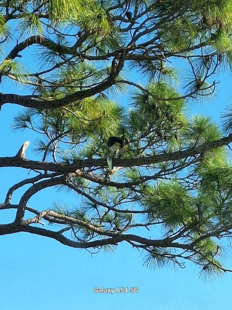 7930 34TH AVENUE W #202, BRADENTON, FL, 34209