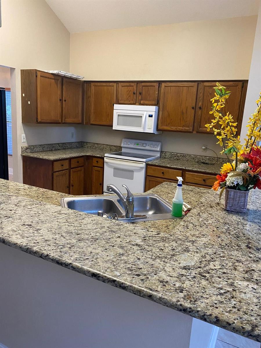 1413 ABBERTON DR, ORLANDO, FL, 32837