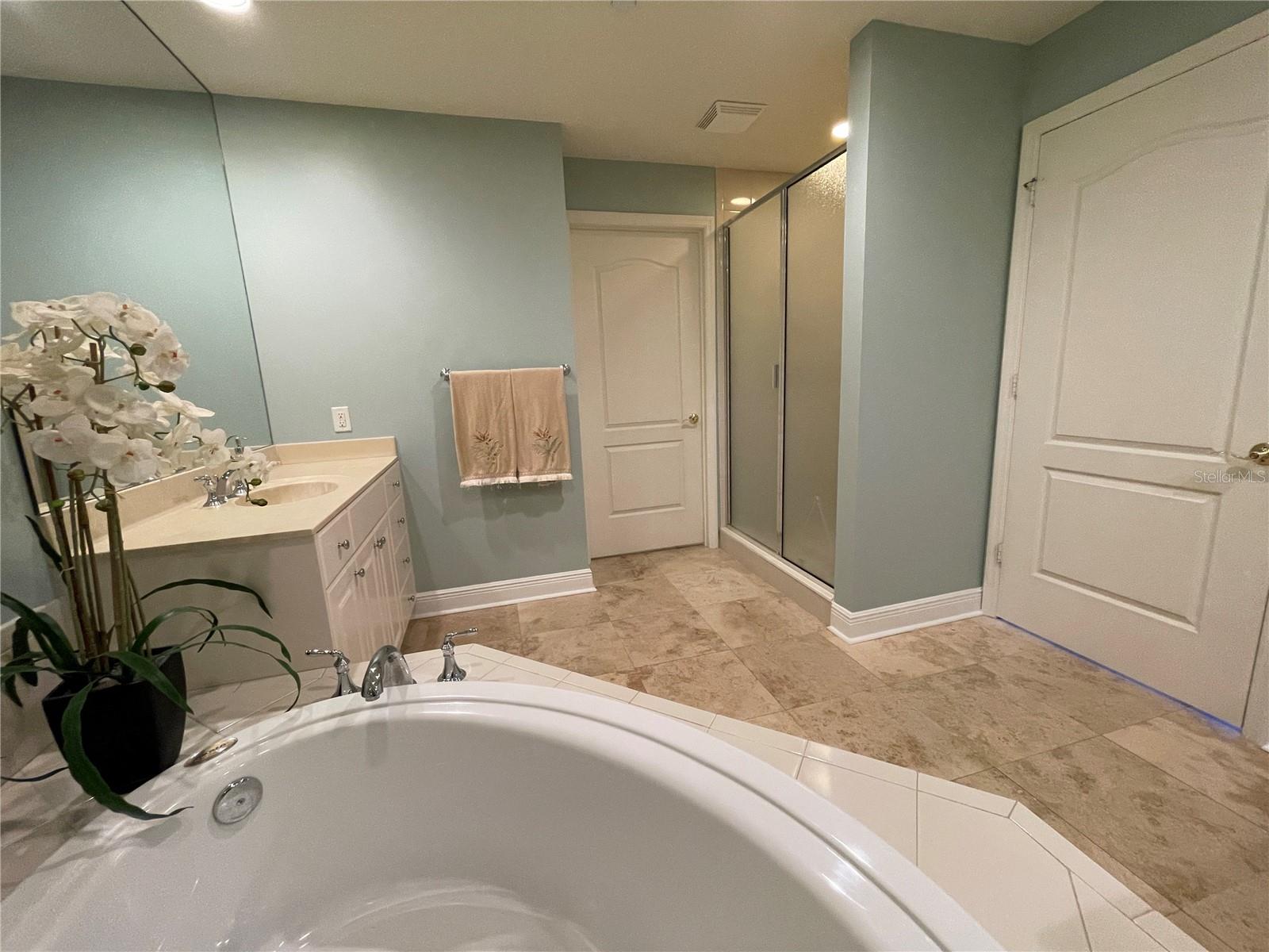 521 MANDALAY AVE #309, CLEARWATER BEACH, FL, 33767