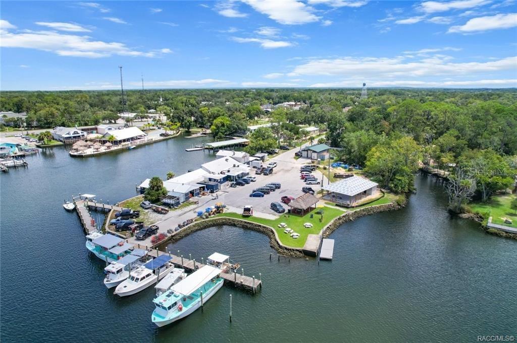 11308 W AMERINDIAN CT, CRYSTAL RIVER, FL, 34429