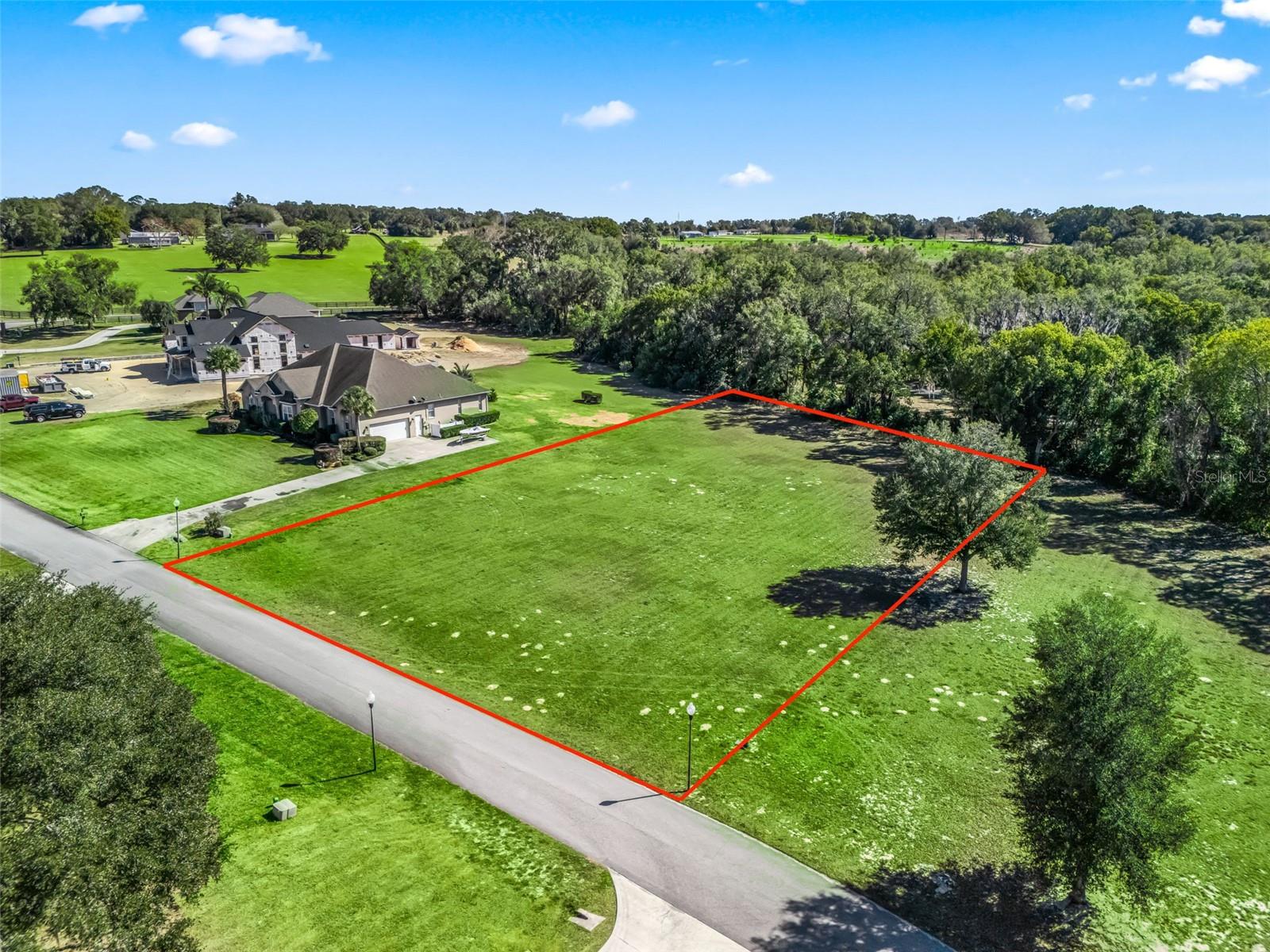 SE 156TH LANE, WEIRSDALE, FL, 32195